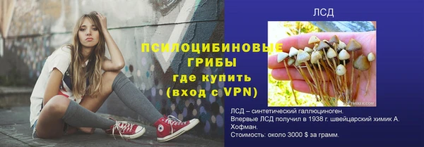 спайс Лагань