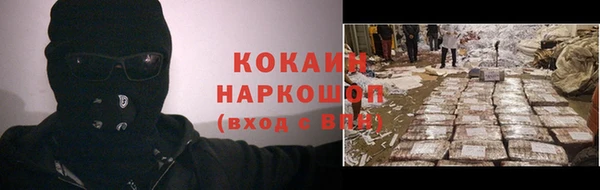 твердый Туринск