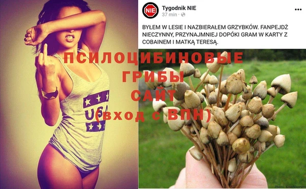 первитин Ладушкин