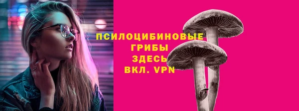 Альфа ПВП Вяземский