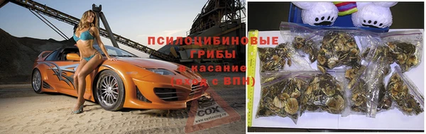 Альфа ПВП Вяземский