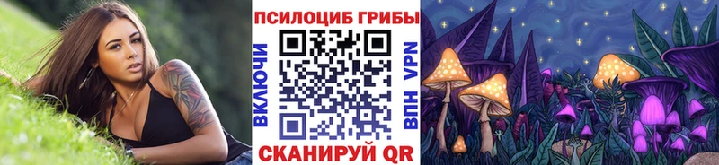 дарнет шоп  Няндома  Галлюциногенные грибы мицелий 