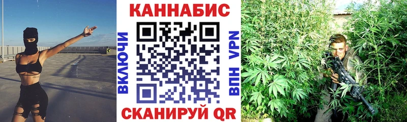 Канабис сатива  закладки  маркетплейс телеграм  Няндома 